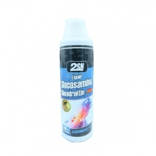 Хондропротектор 2SN Liquid Glucosamine + Chondroitin + MSM 500 мл