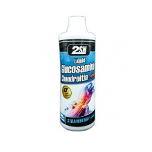 Хондропротектор 2SN Liquid Glucosamine + Chondroitin + MSM 1000 мл